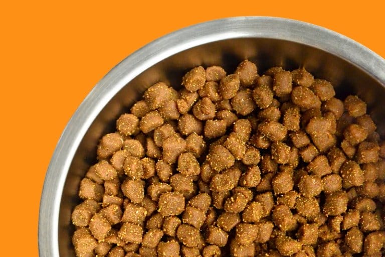 young again kibble