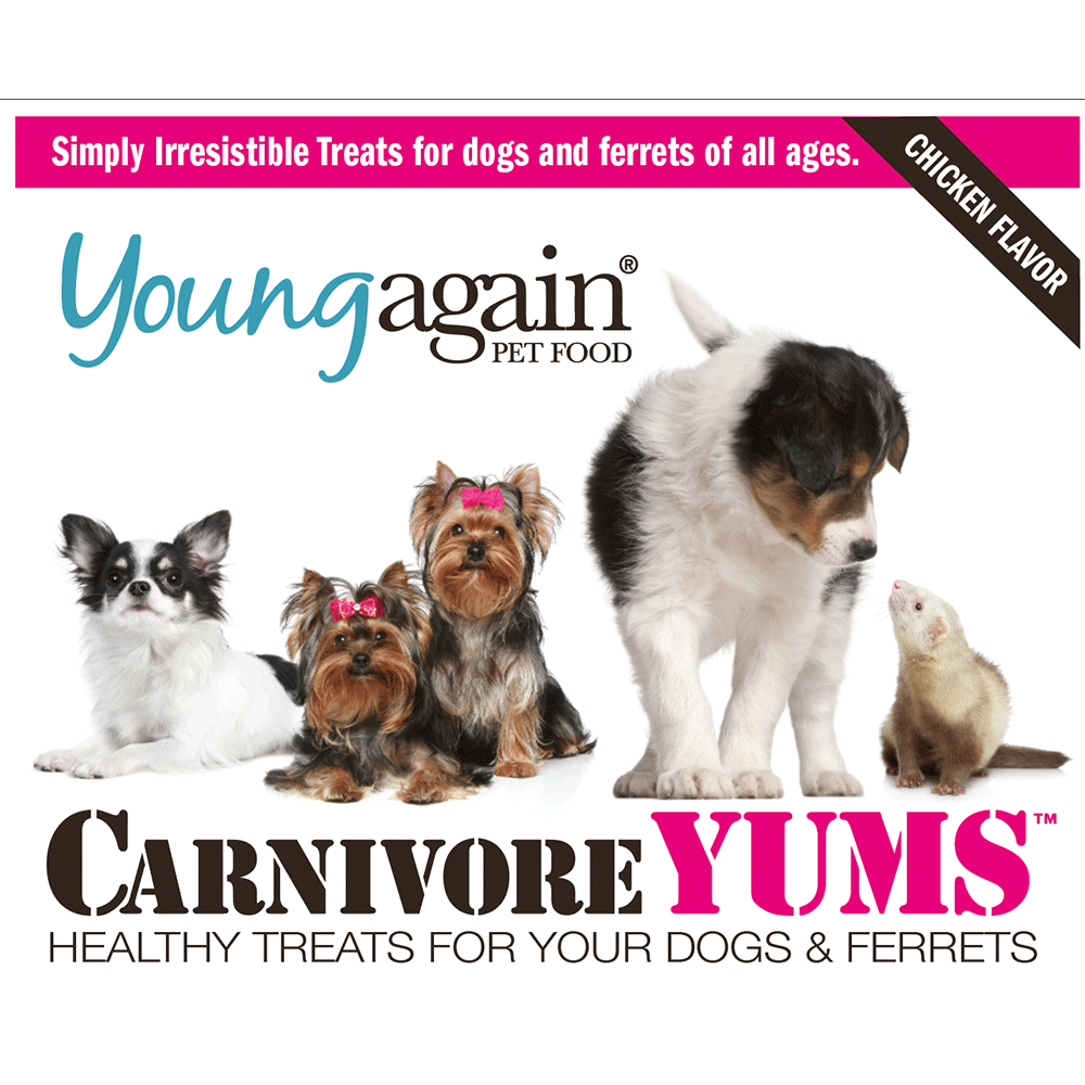 Young Again Pet Food Label. Top portion is a pink banner that says Simply Irresistible Treats for dogs and ferrets of all ages. A brown banner that says Chicken Flavor. Below the Young Again Pet Food logo is a selection of dogs and a ferret. Below the pets is the food name listed as Carnivore Yums, Healthy Treats for your dogs and ferrets