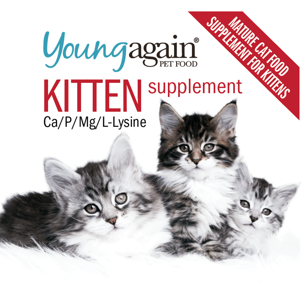 Young Again Kitten supplement with calcium phosphorus magnesium and L-Lysine - mature cat food supplement for kittens